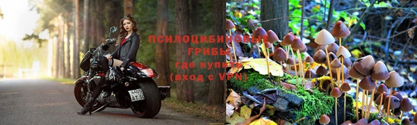 наркотики Абинск