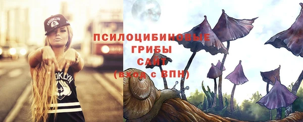 сатива Абаза