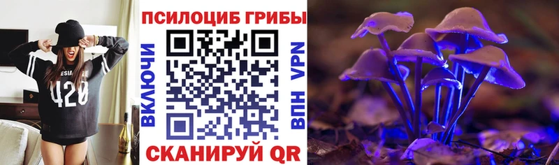 хочу   Стерлитамак  Галлюциногенные грибы MAGIC MUSHROOMS 