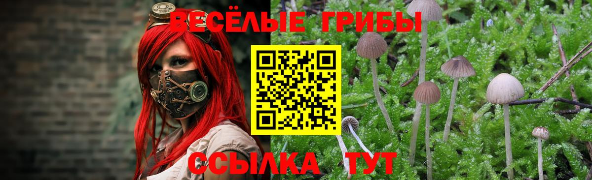 Галлюциногенные грибы ЛСД Стерлитамак