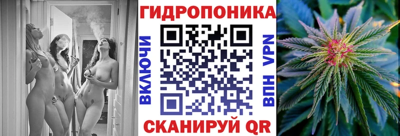 где можно купить наркотик  Стерлитамак  Шишки марихуана Amnesia 